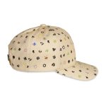 Pokémon Types Tan Structured Hat (One Size-Adult) - Image 4