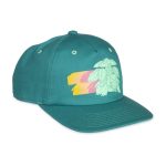 Mega Venusaur Green Flat-Bill Hat (One Size-Adult) - Image 3